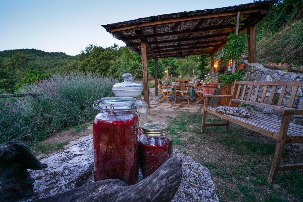 Agriturismo La Colombella Bagni San Filippo Extérieur photo