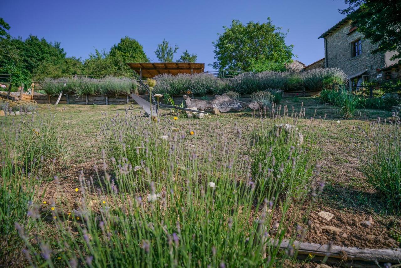 Agriturismo La Colombella Bagni San Filippo Extérieur photo
