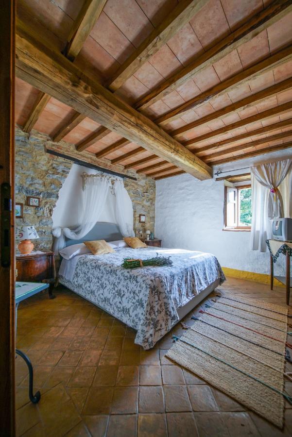 Agriturismo La Colombella Bagni San Filippo Extérieur photo