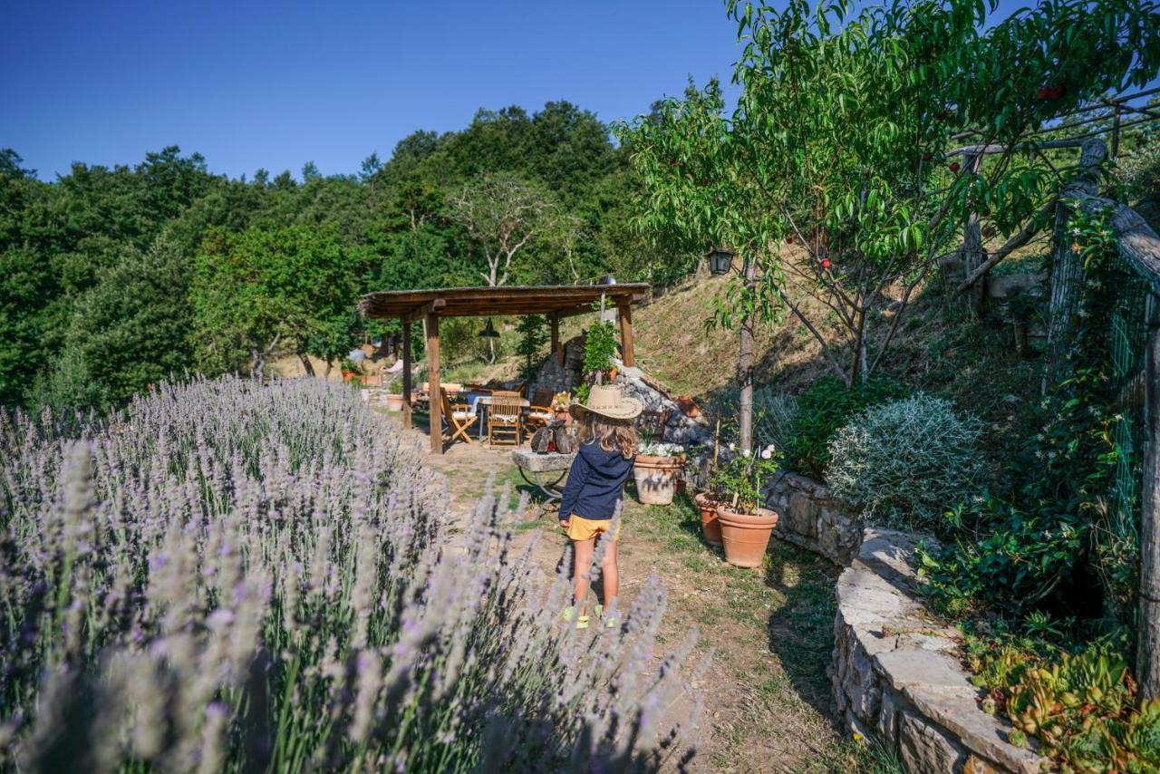 Agriturismo La Colombella Bagni San Filippo Extérieur photo
