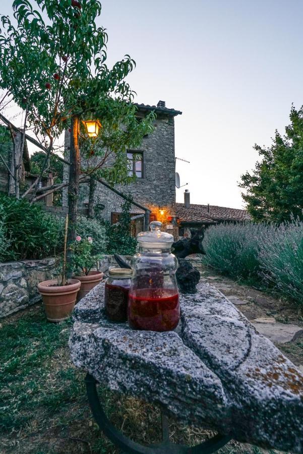 Agriturismo La Colombella Bagni San Filippo Extérieur photo