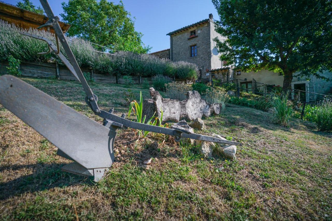 Agriturismo La Colombella Bagni San Filippo Extérieur photo